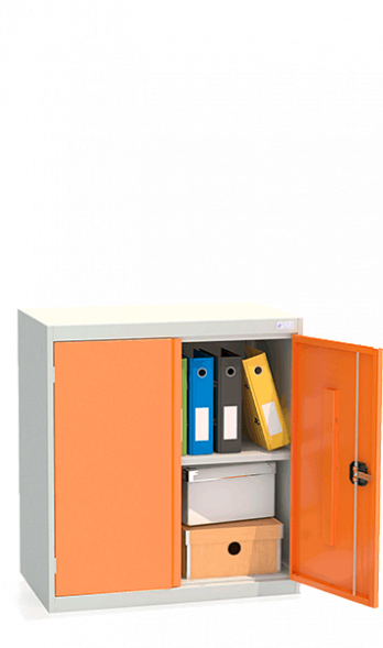 Шкаф архивный ШХА/2-850(50)