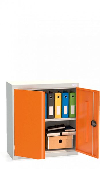 Шкаф архивный ШХА/2-850(40)