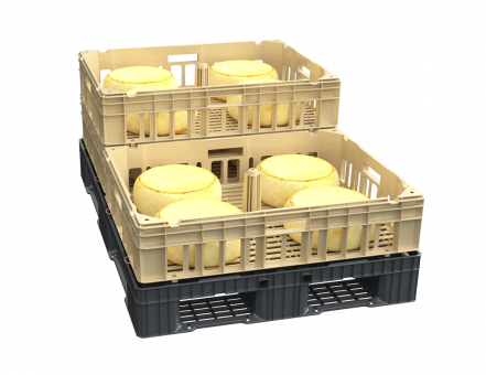 Ящик для созревания сыра (800х600х175)