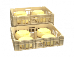 Ящик для созревания сыра (800х600х175)