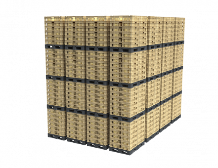 Ящик для созревания сыра (800х600х175)