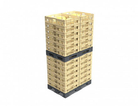 Ящик для созревания сыра (800х600х175)