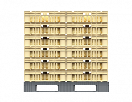 Ящик для созревания сыра (800х600х175)