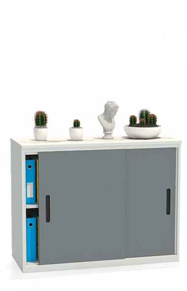 Шкаф-купе архивный ALS-8812