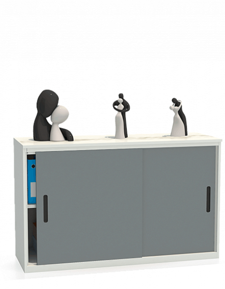 Шкаф-купе архивный ALS-8815