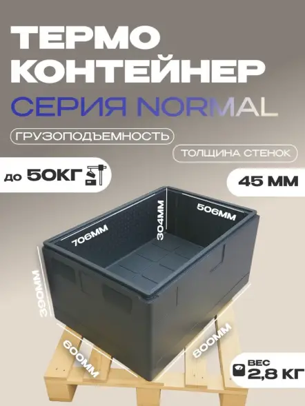 Термоконтейнер TERMOBOX Бытовой Normal, 109 л, 800х600х390 мм, 40кг/м3