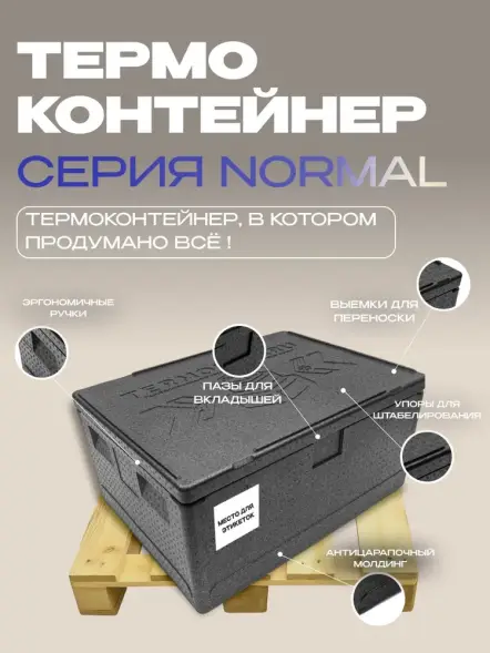 Термоконтейнер TERMOBOX Бытовой Normal, 109 л, 800х600х390 мм, 40кг/м3