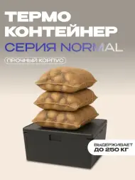 Термоконтейнер TERMOBOX Бытовой Normal, 131 л, 800х600х450 мм, 40кг/м3