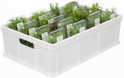 Ящик пластиковый сплошной, 600×400×180 мм, 35 л, белый [706.03.01 м]