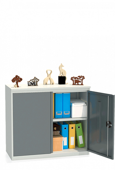 Шкаф архивный ALR 8810