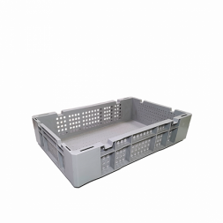 Ящик для созревания сыра (600х400х135)